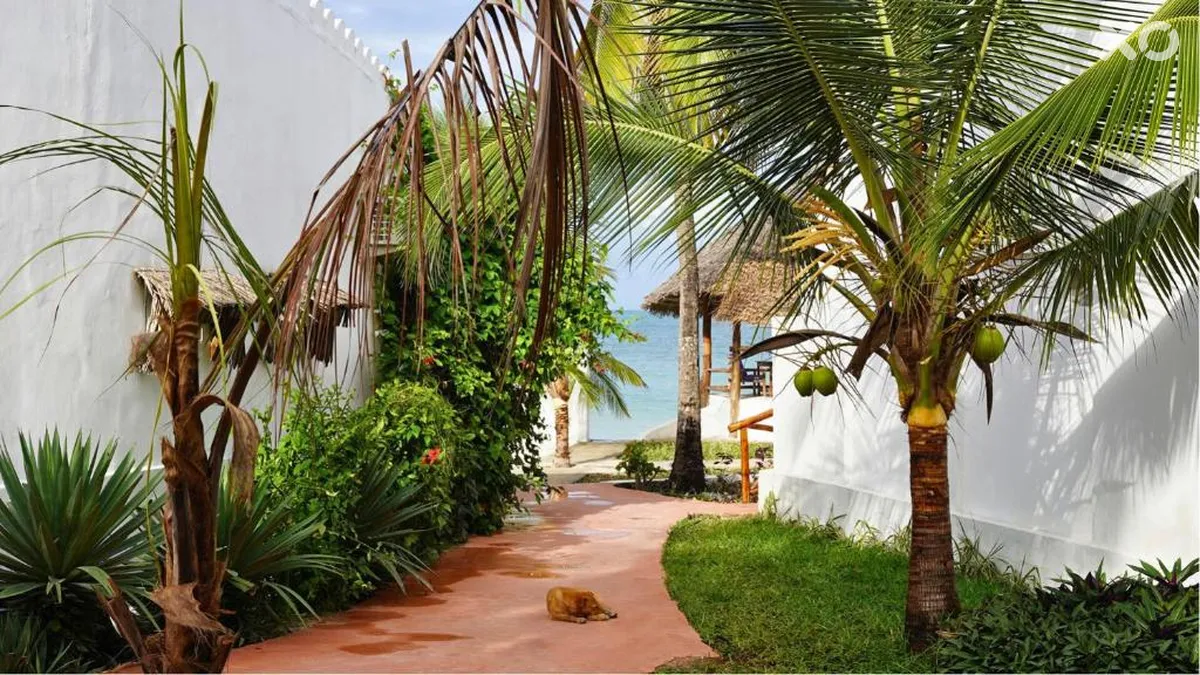 Nautilus Boutique Hotel