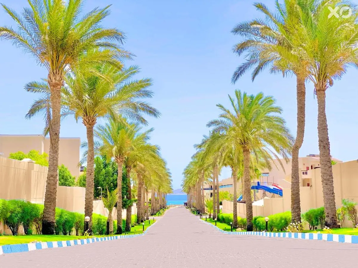 Ivy Cyrene Sharm Resort