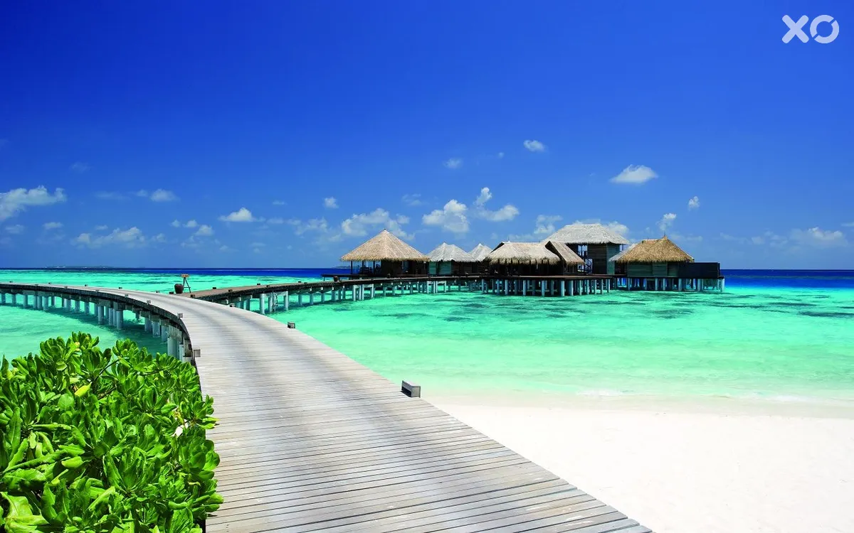 Coco Bodu Hithi