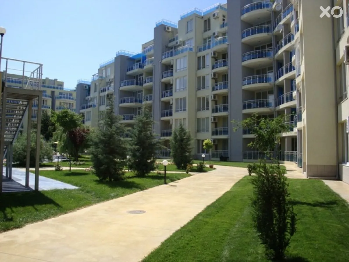 Оазис