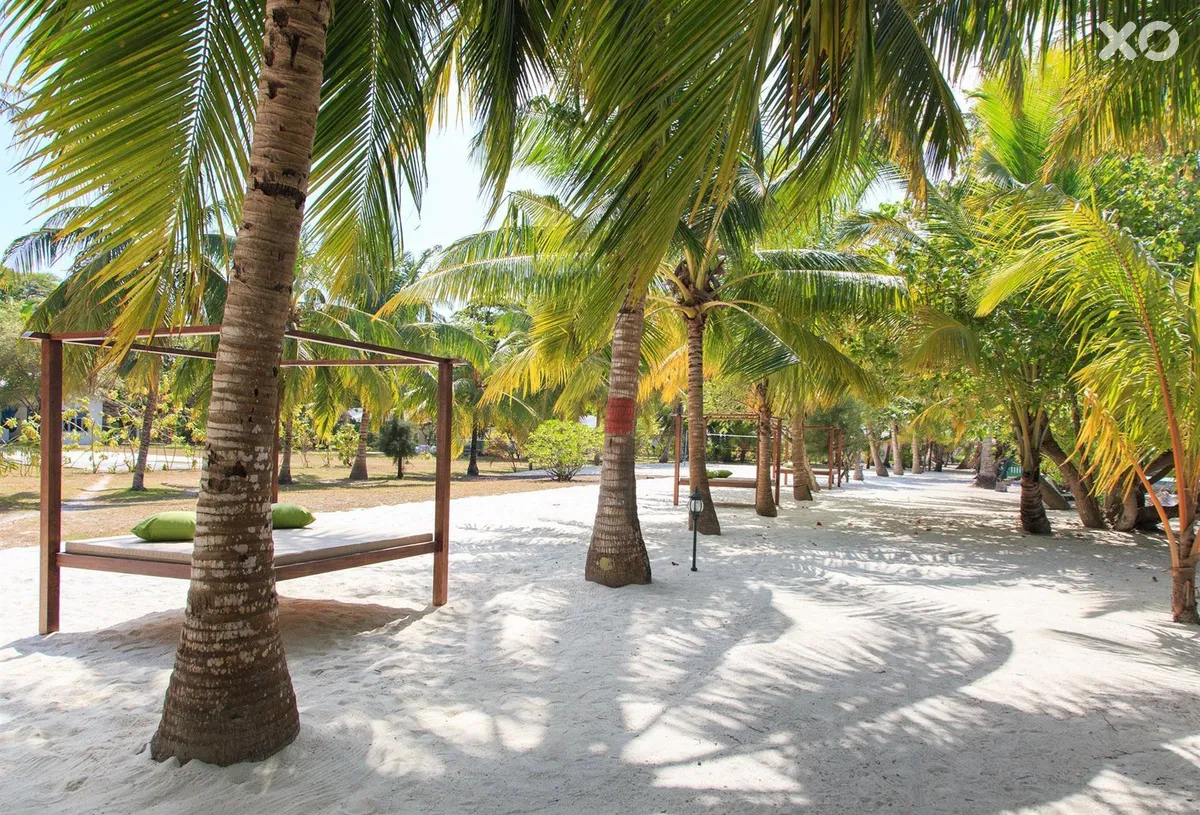 Equator Village