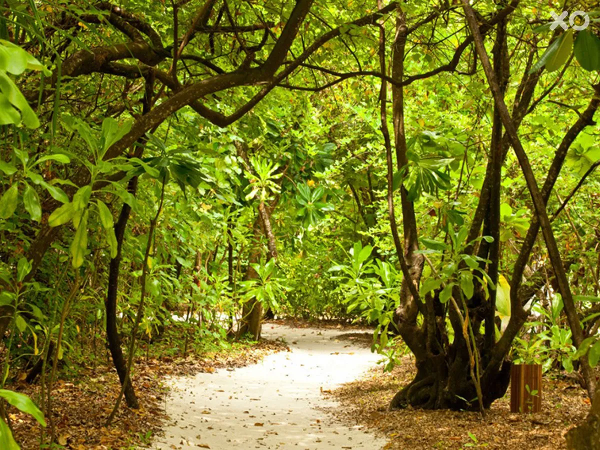 Reethi Beach Resort