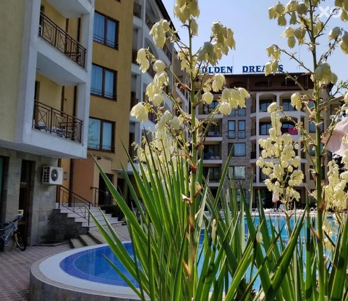Golden Dreams Complex