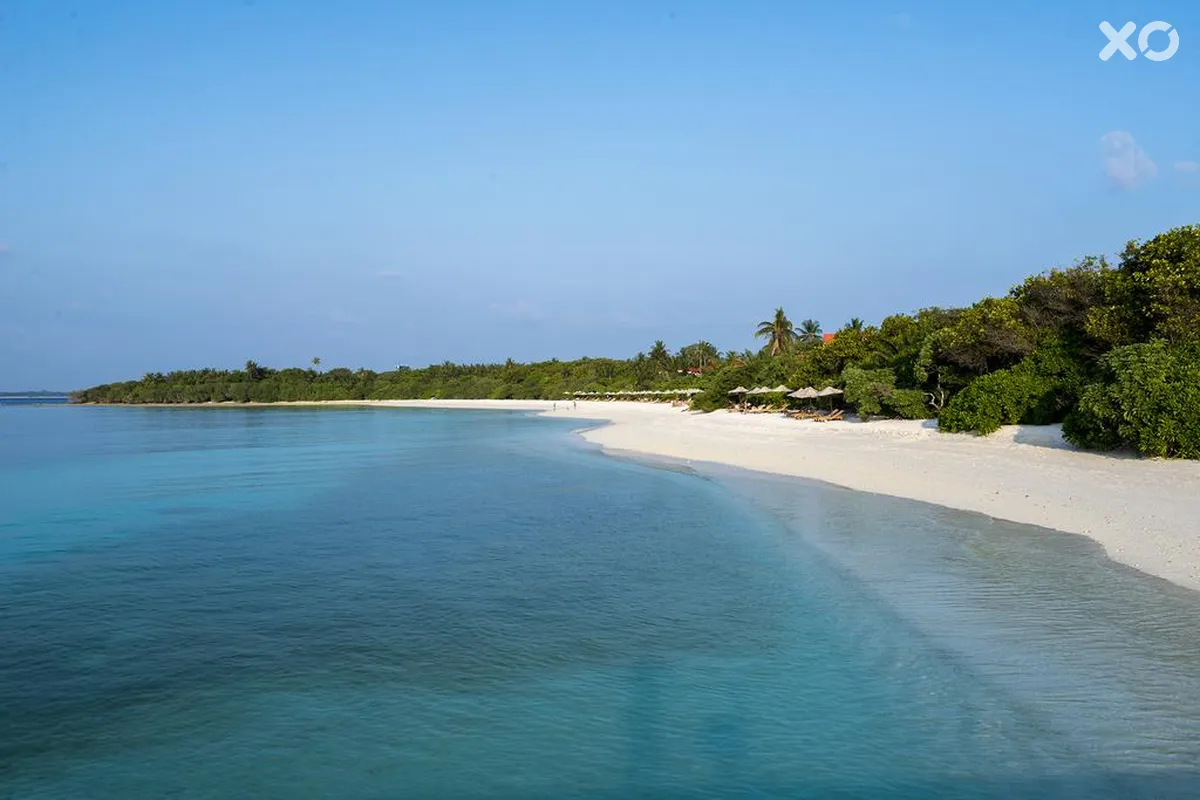 The Barefoot Eco Hotel