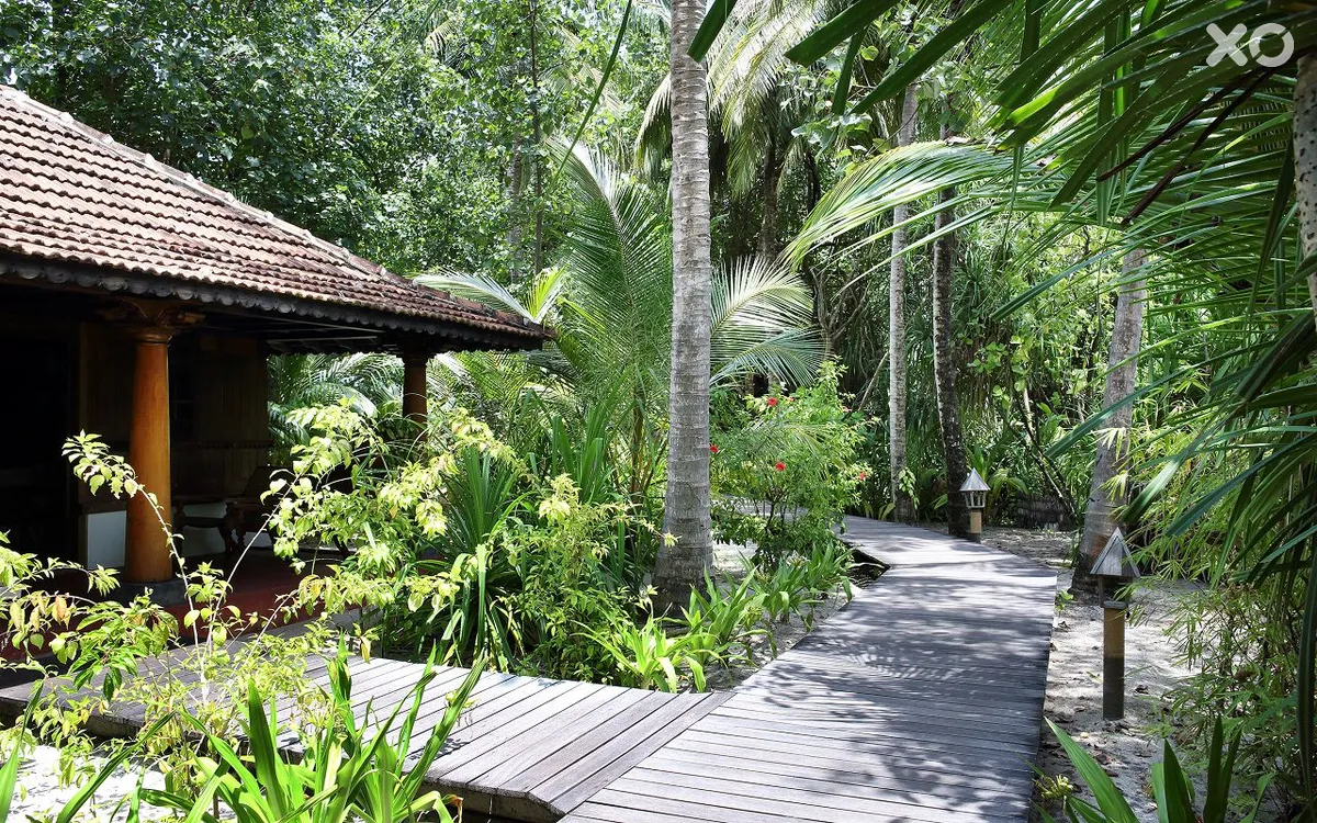 Gangehi Island Resort & Spa