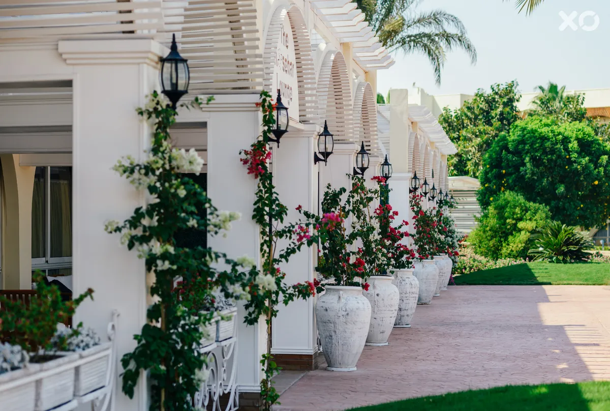 Desert Rose Resort