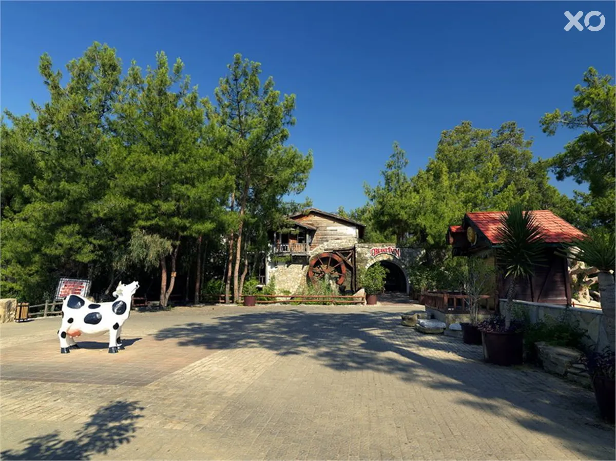 Holiday Area Farm Resort