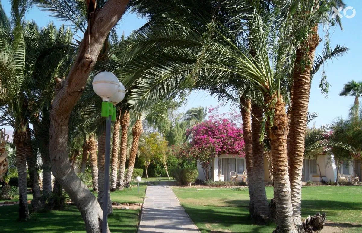 Dahab Lagoon Club & Resort