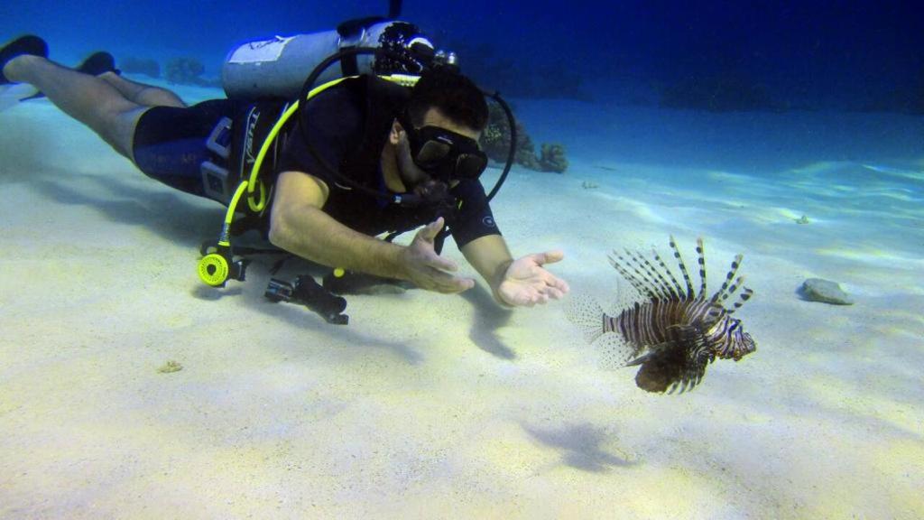 Regency Plaza Aqua Park & ​​Spa