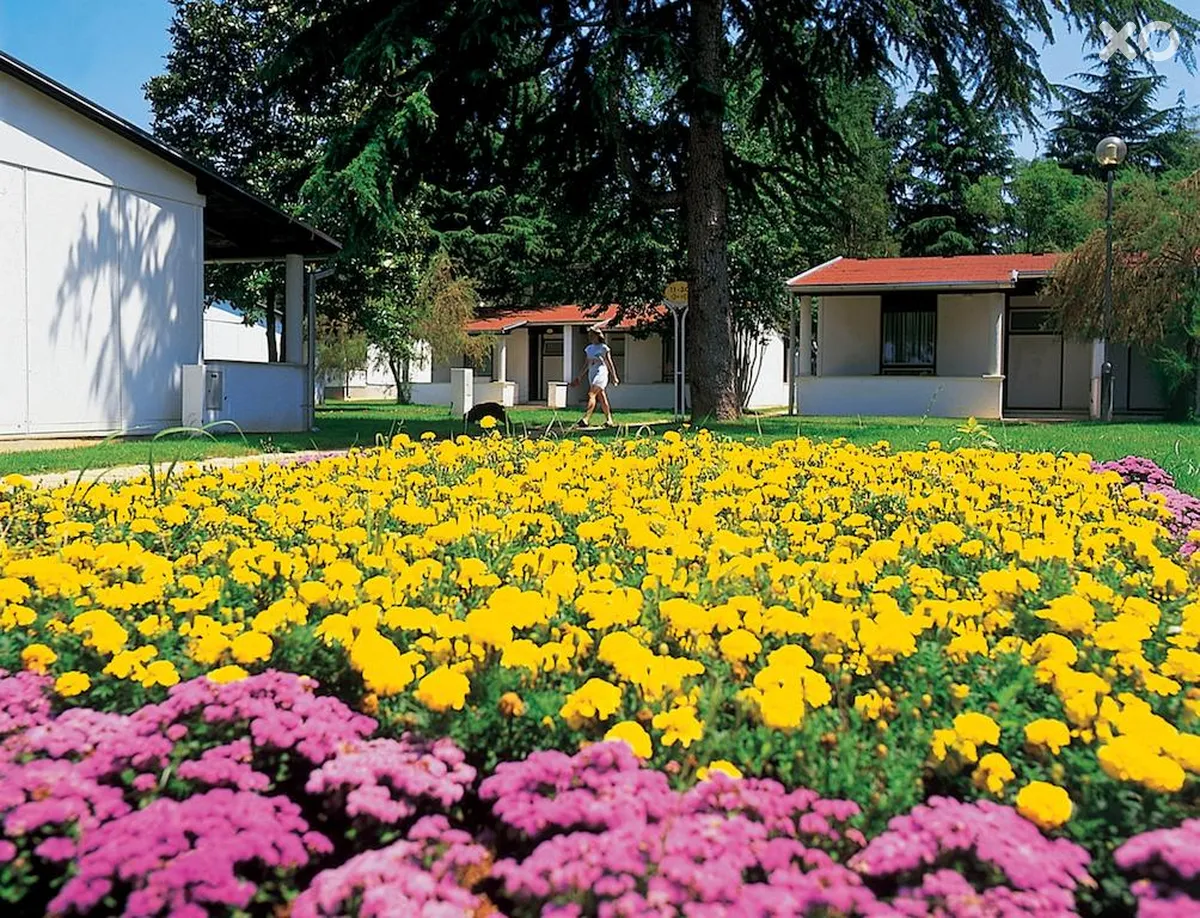 Garden Suites Park