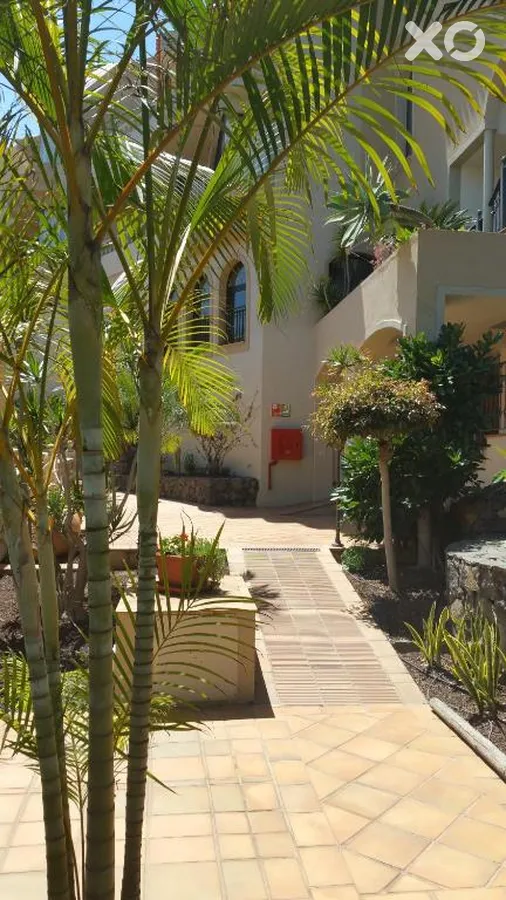 Playa de los Roques Apartments
