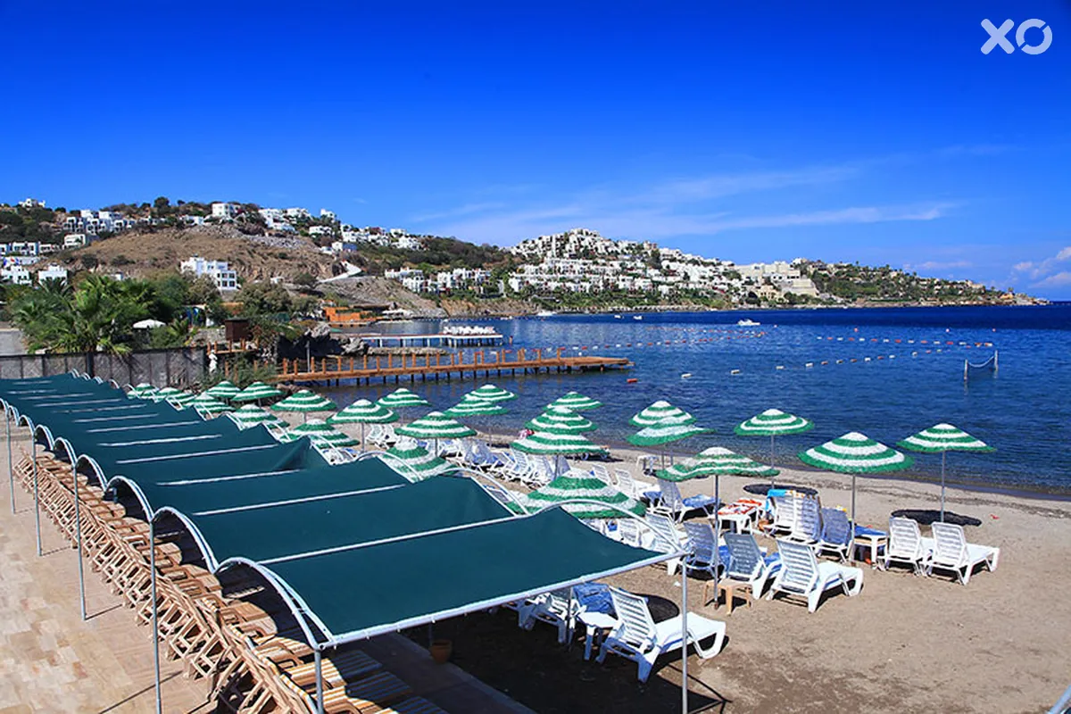 Cactus Fleur Beach Club