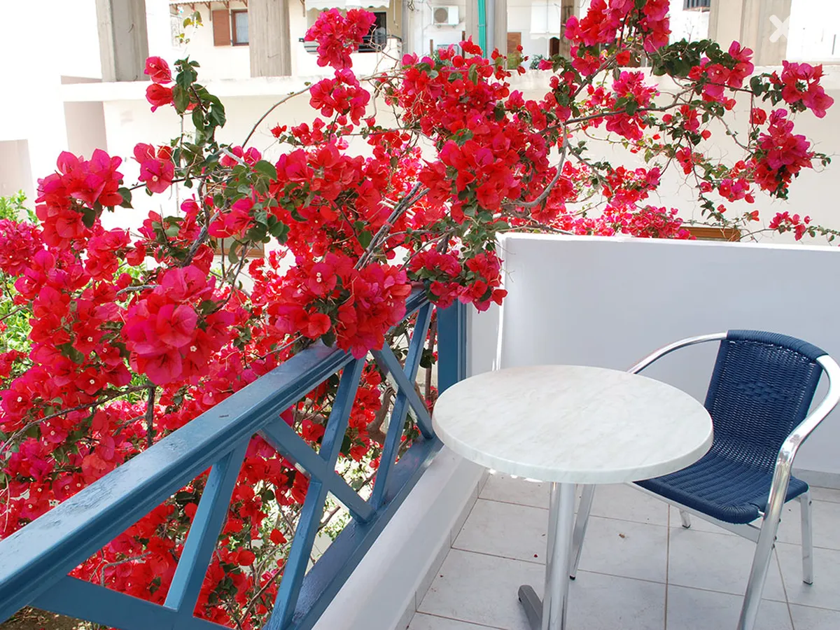 Irida Villa