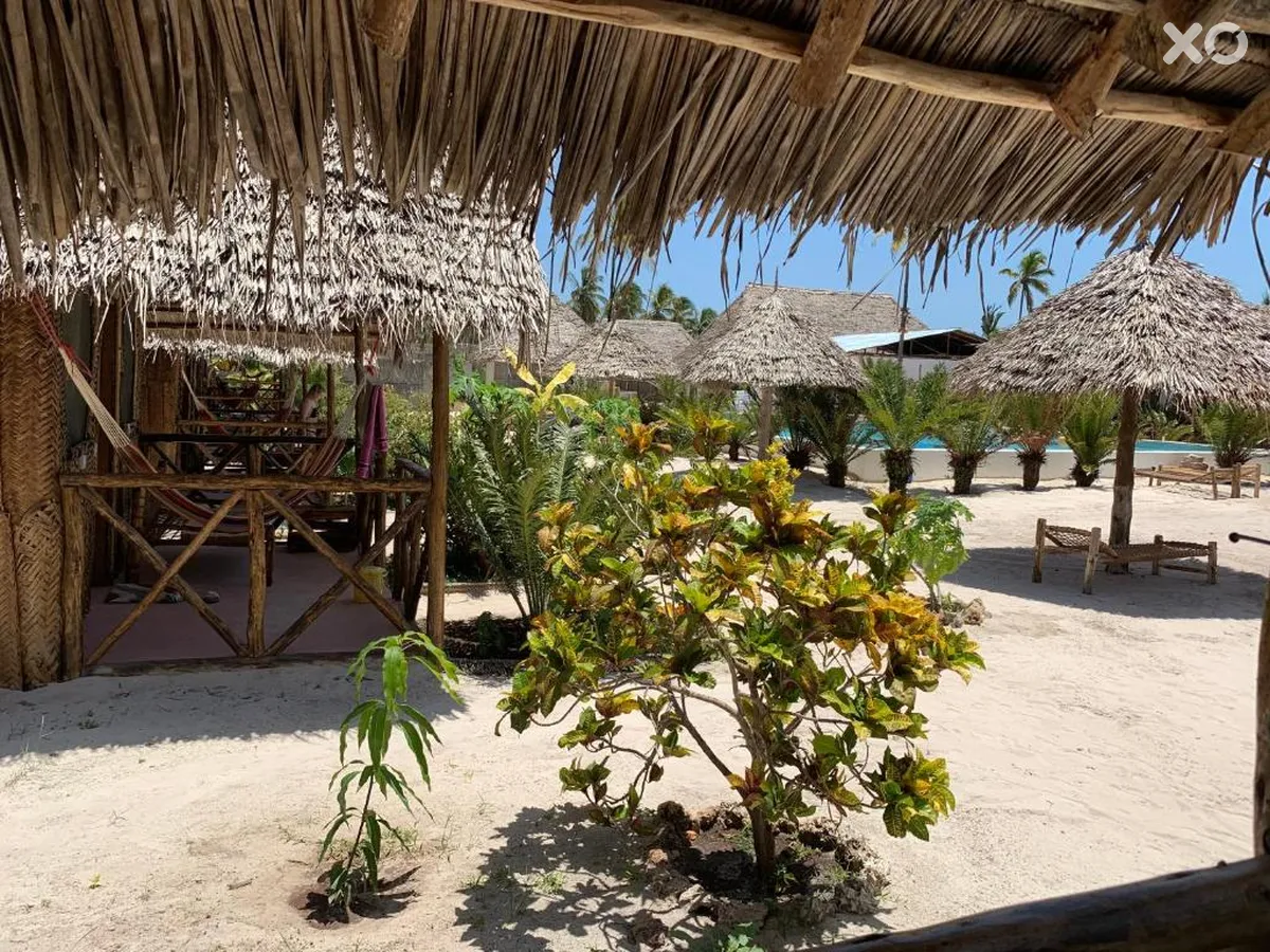 New Jambo Bungalows