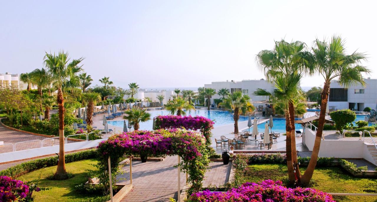 Sharm Reef Hotel