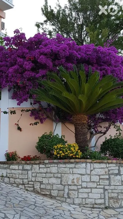 Lido Corfu Sun Hotel