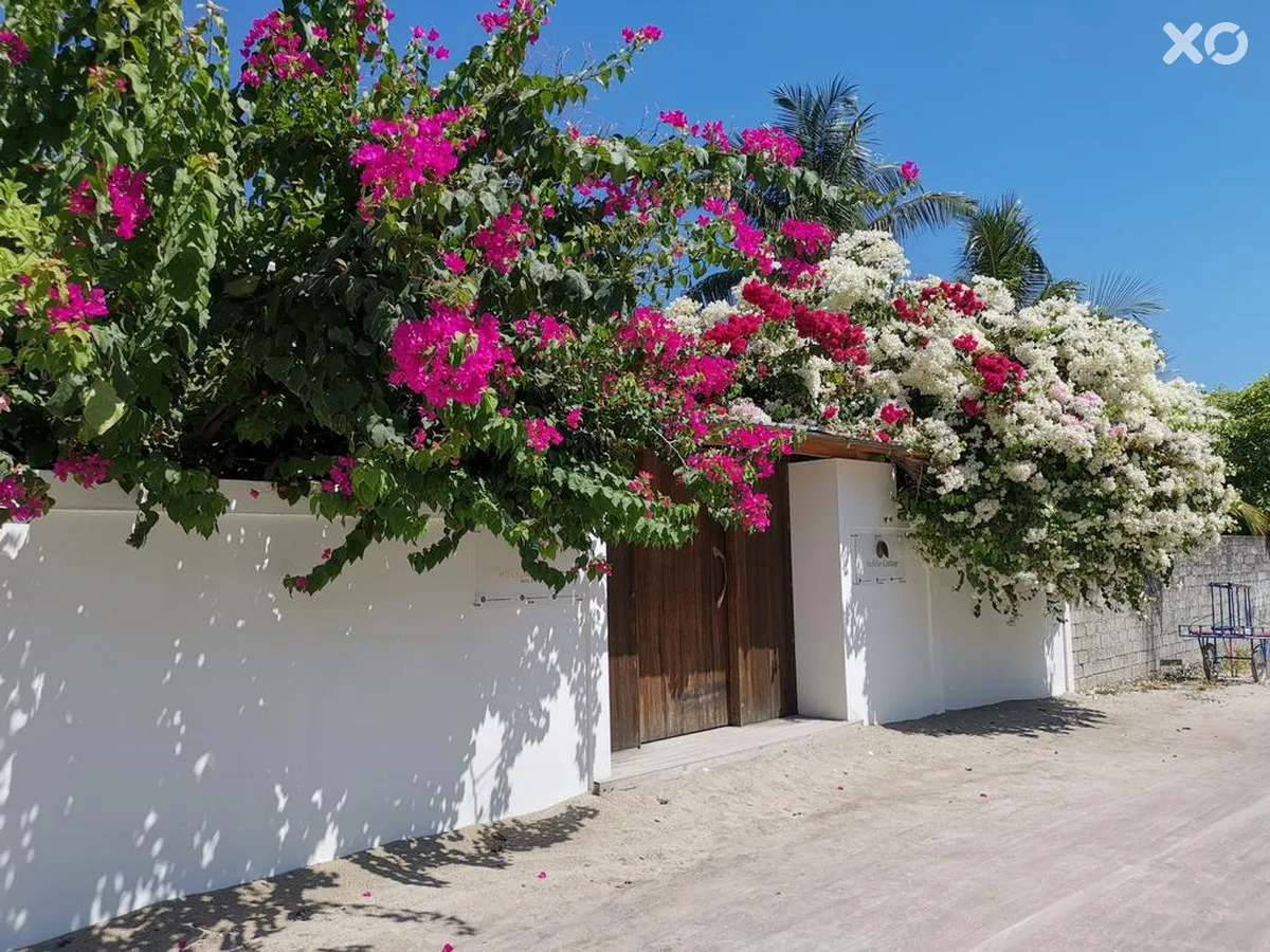 Holiday Cottage