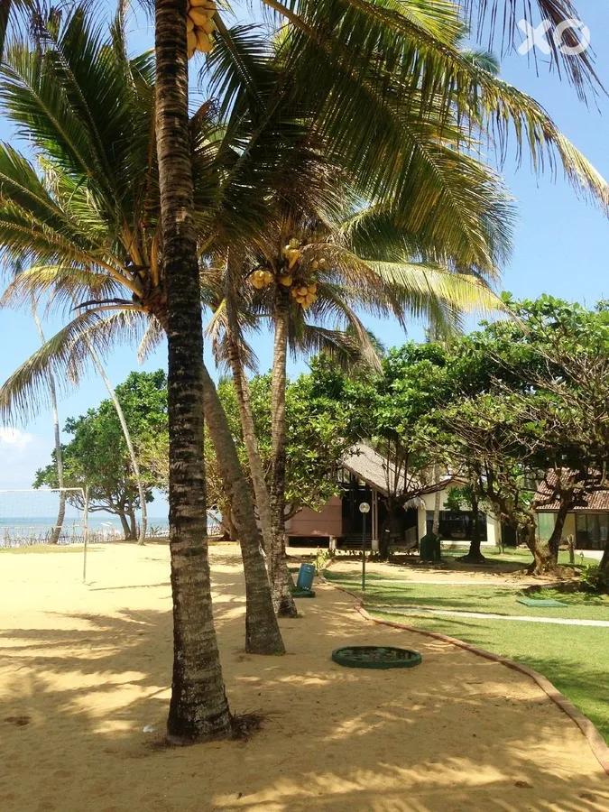 Siddhalepa Ayurveda Health Resort
