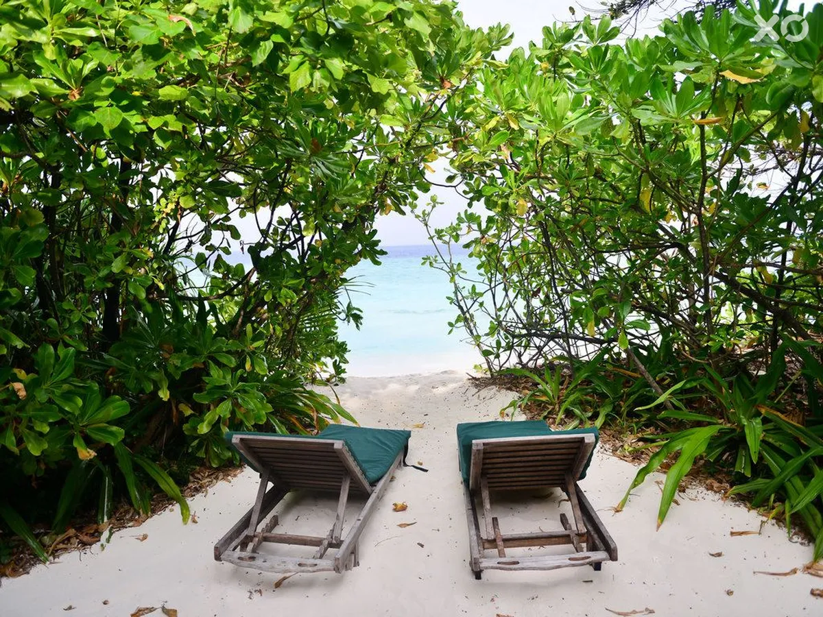 Coco Palm Dhuni Kolhu