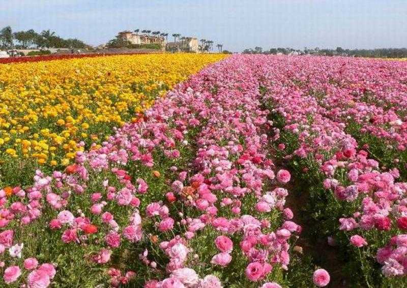 Памʼятки Болгарії