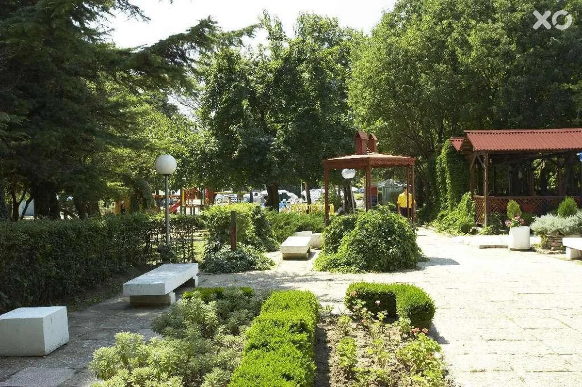 Компас