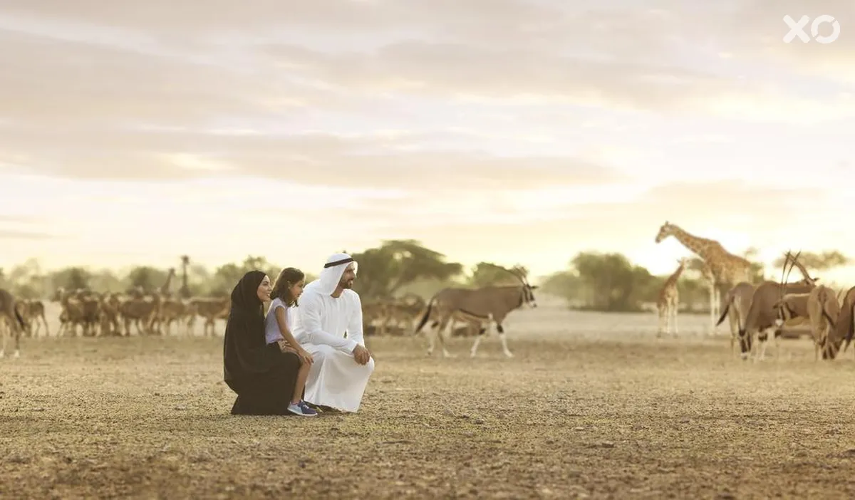 Desert Islands Resort & Spa by Anantara
