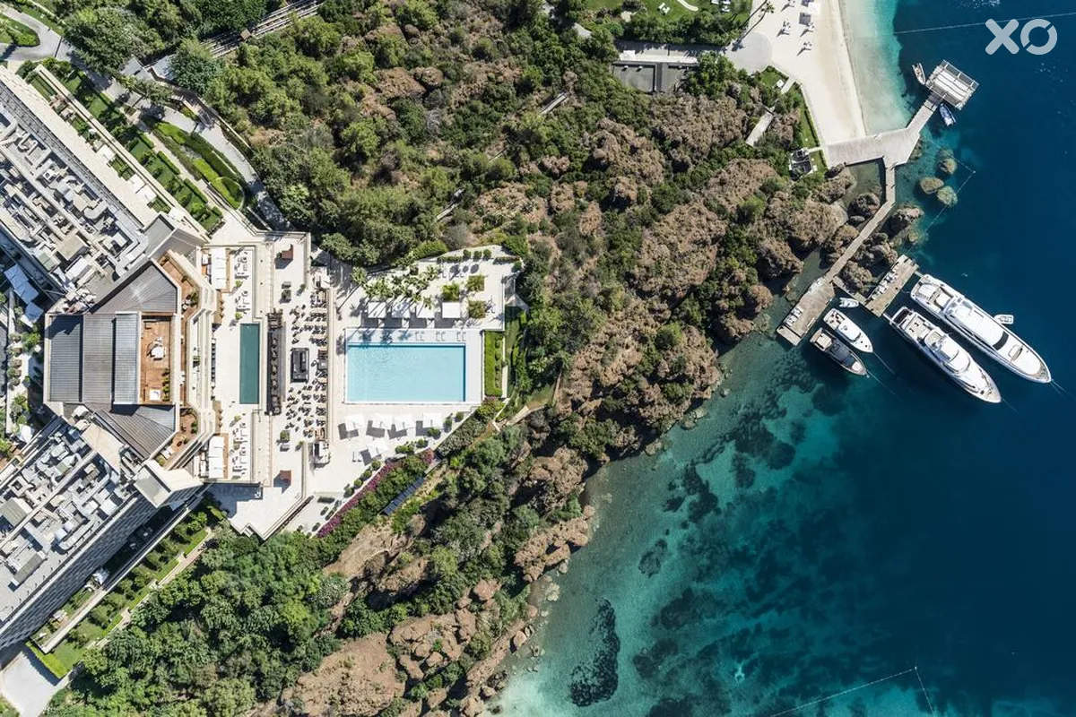 D Maris Bay