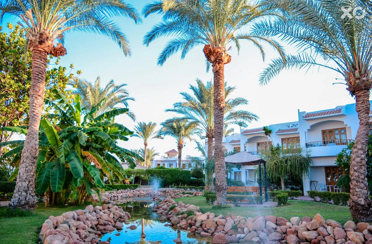 Dive Inn Resort