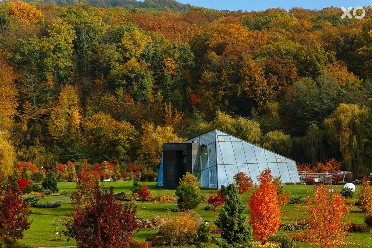 СК Деренівська Купель