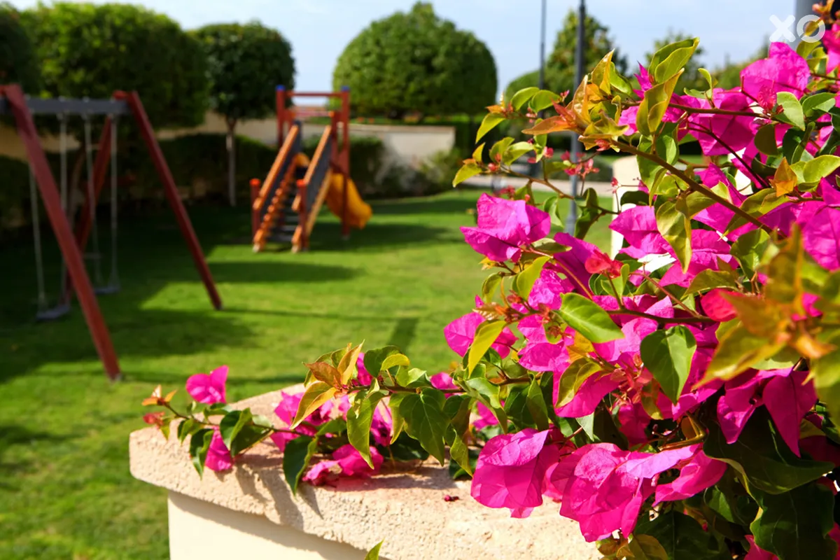 Aphrodite Hills Holiday Resort