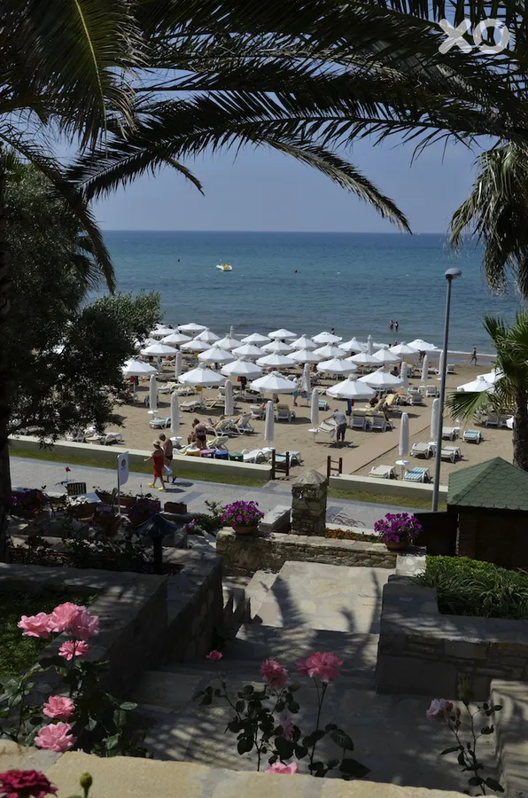 Barut Arum