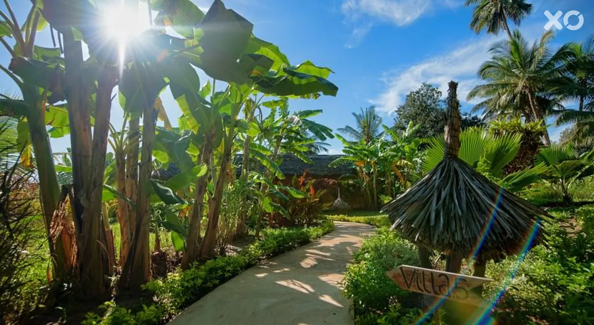 Zanzi Resort