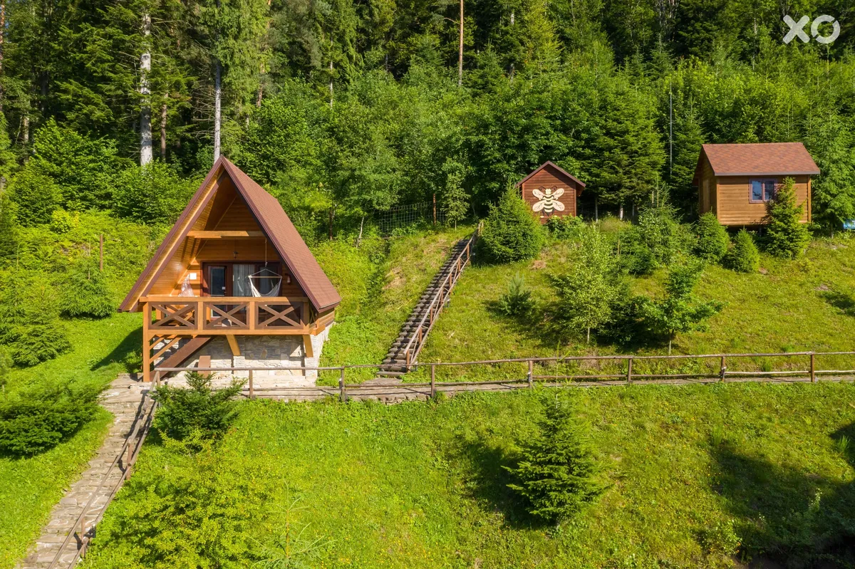 Осоння Карпати