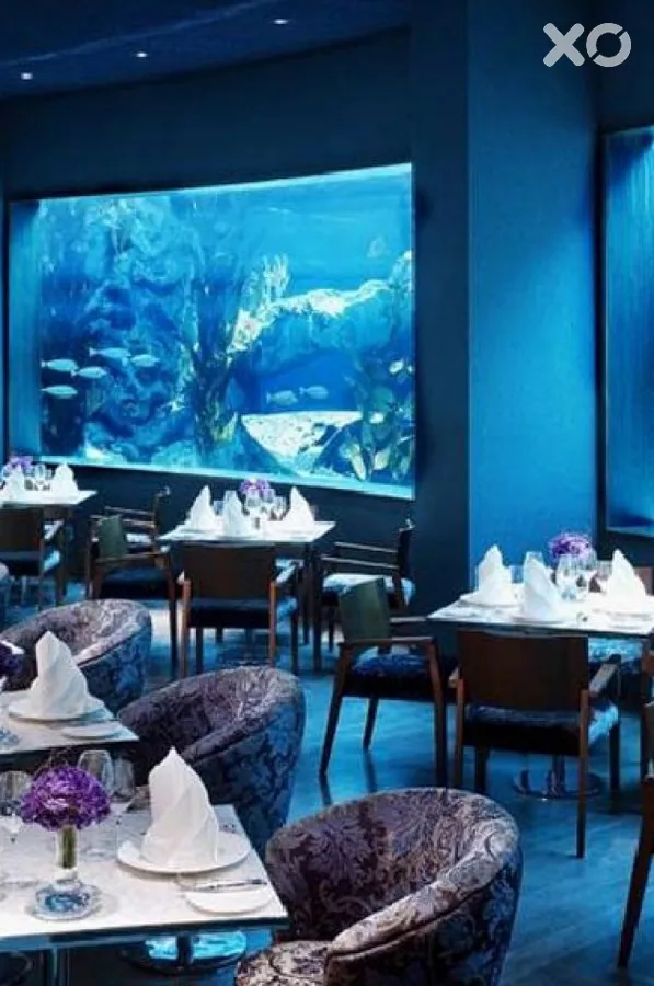 Blue Marlin Deluxe Spa & Resort