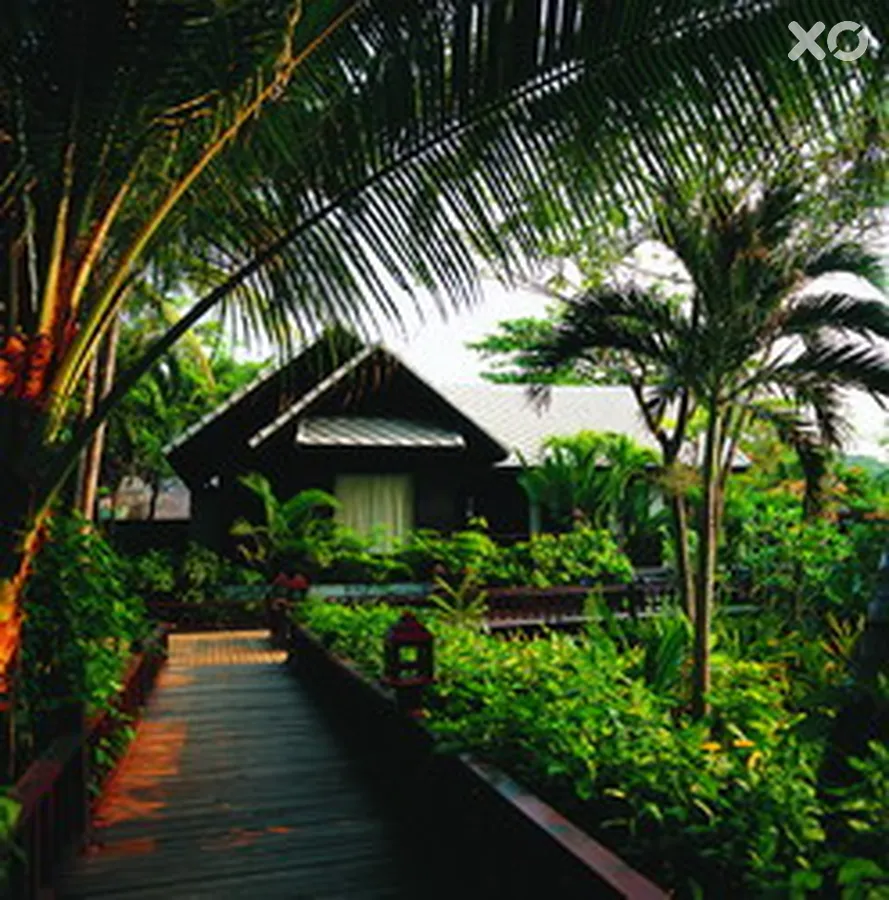 Ao Phrao