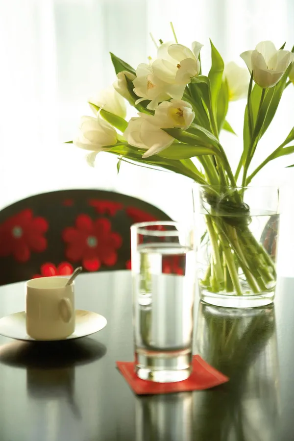 Anessis Hotel