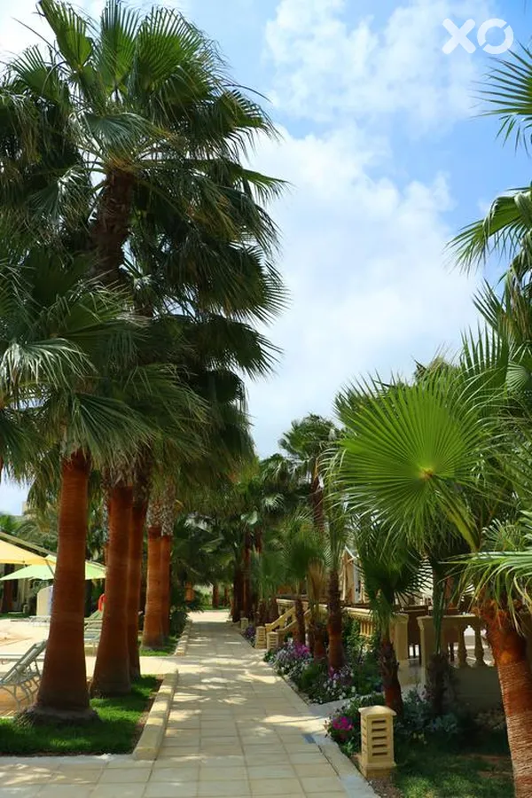 Ksar Djerba