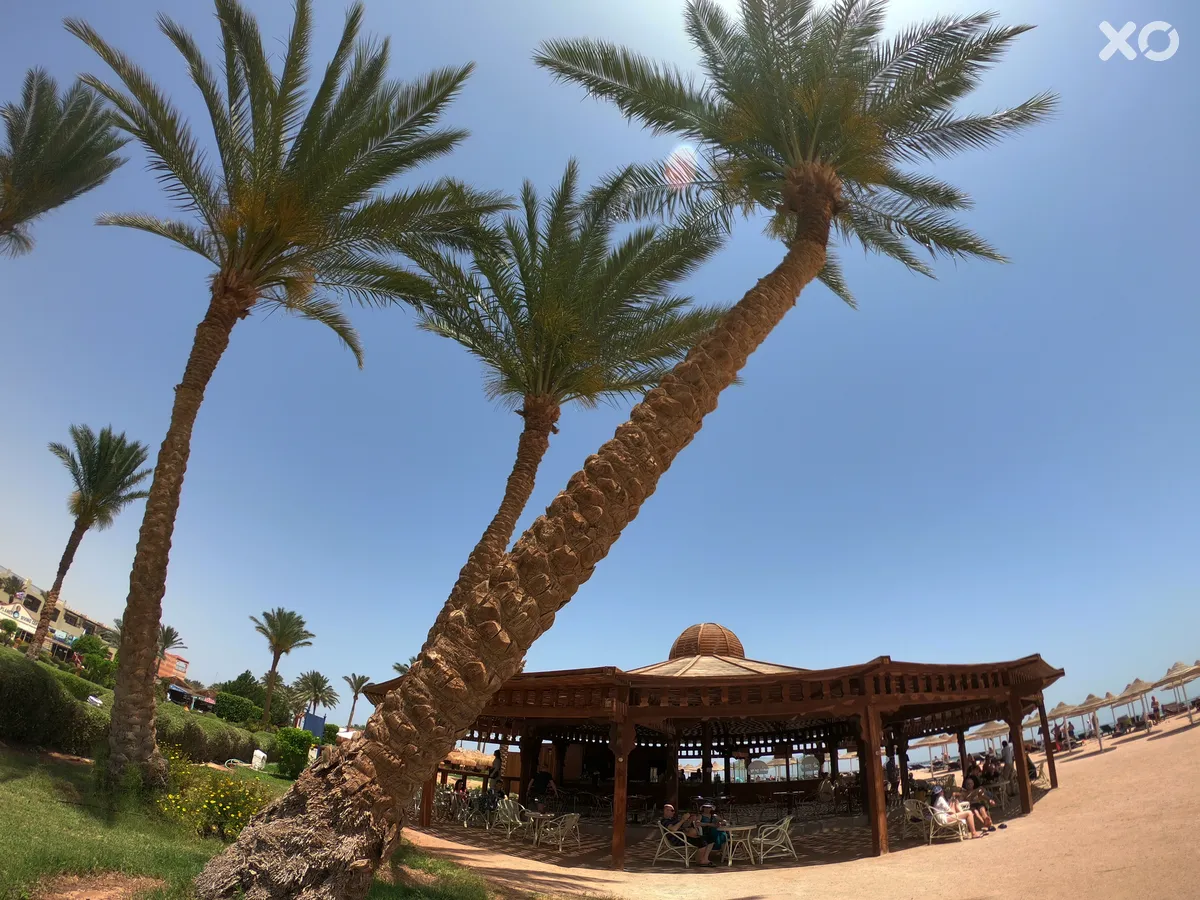 Regency Plaza Aqua Park & ​​Spa