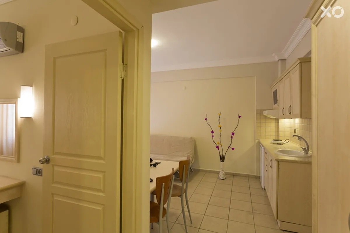 Alenz Suite