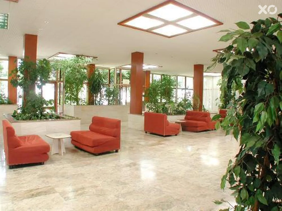 Alua Miami Ibiza