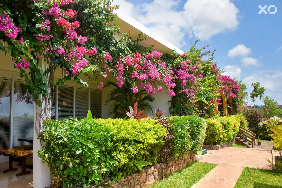 Kidoti Villas by Z Hotel