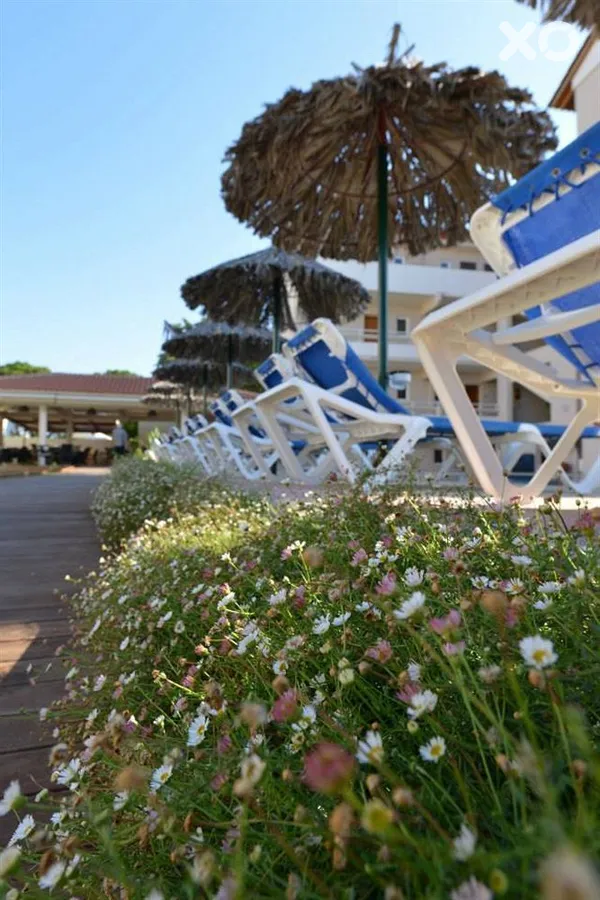 Sunday Hotel