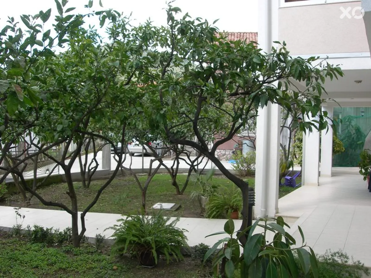 Franeta Villa