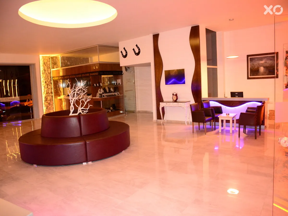 Alenz Suite