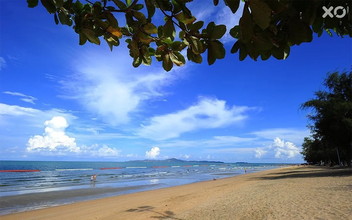Rabbit Resort Pattaya