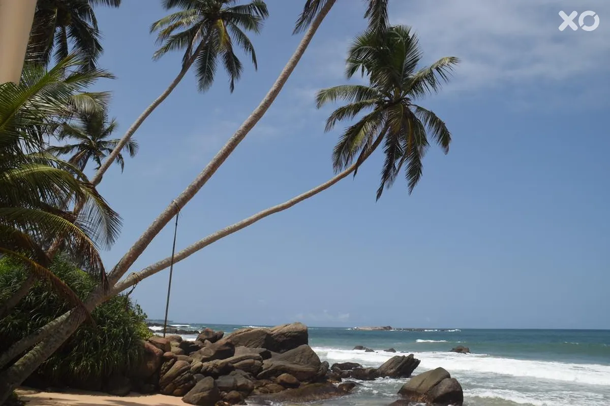 J Ambalangoda Hotel
