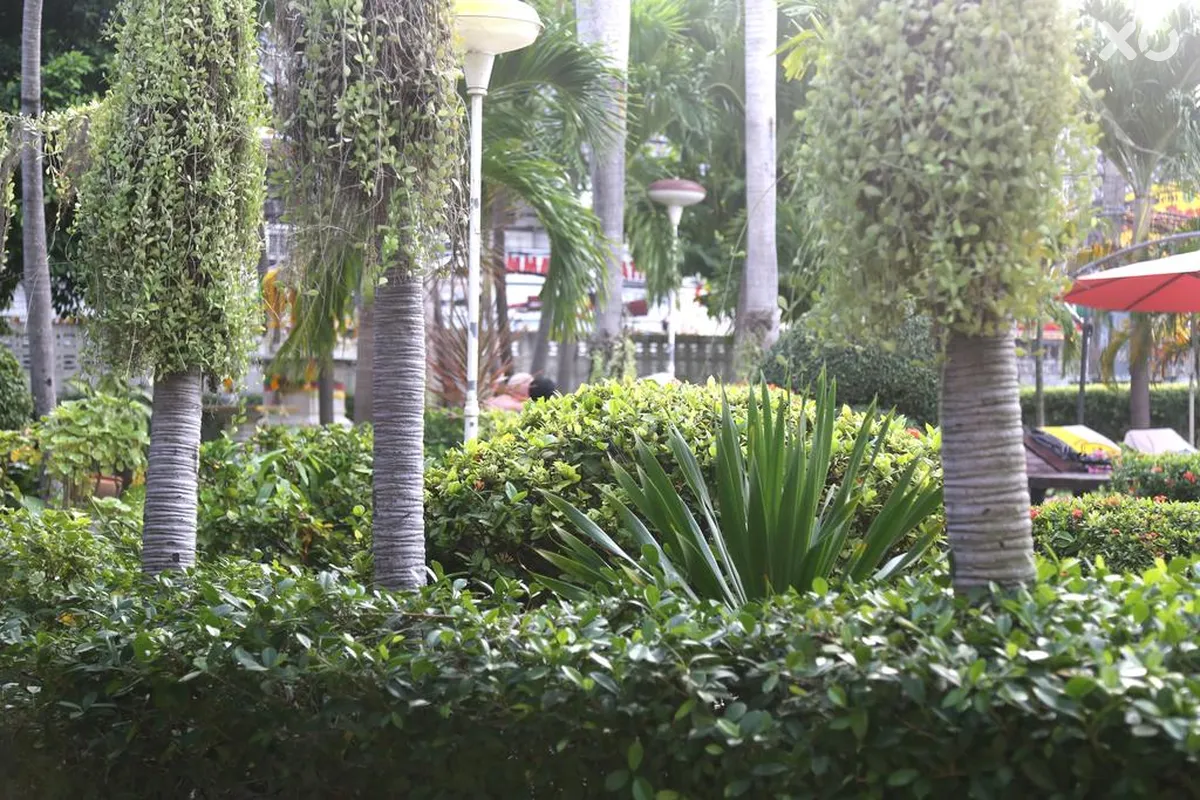 The Romeo Palace Hotel