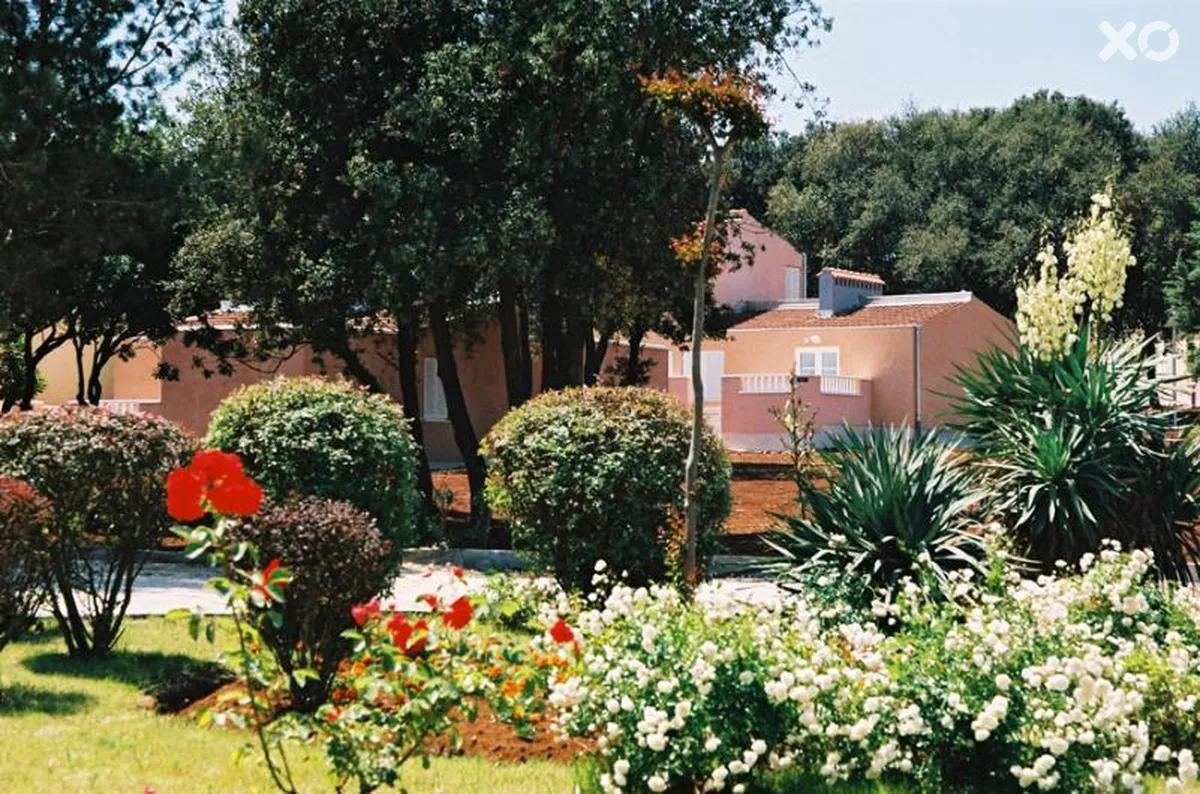 Amarin Apartments