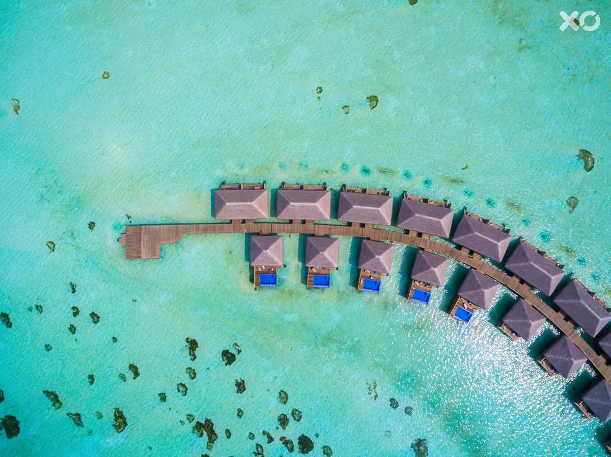 Cocoon Maldives