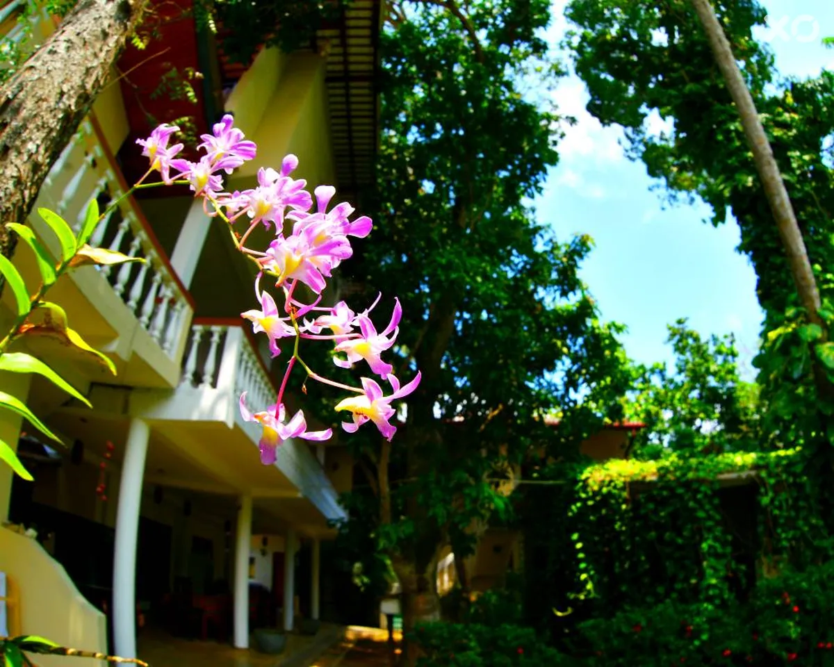 Sea Breeze Guesthouse